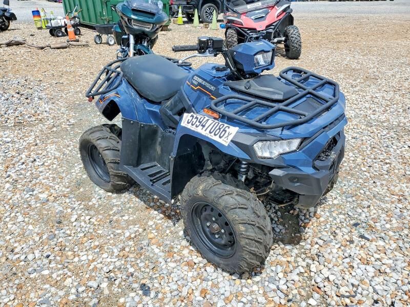 2025 KAWASAKI Brute Force