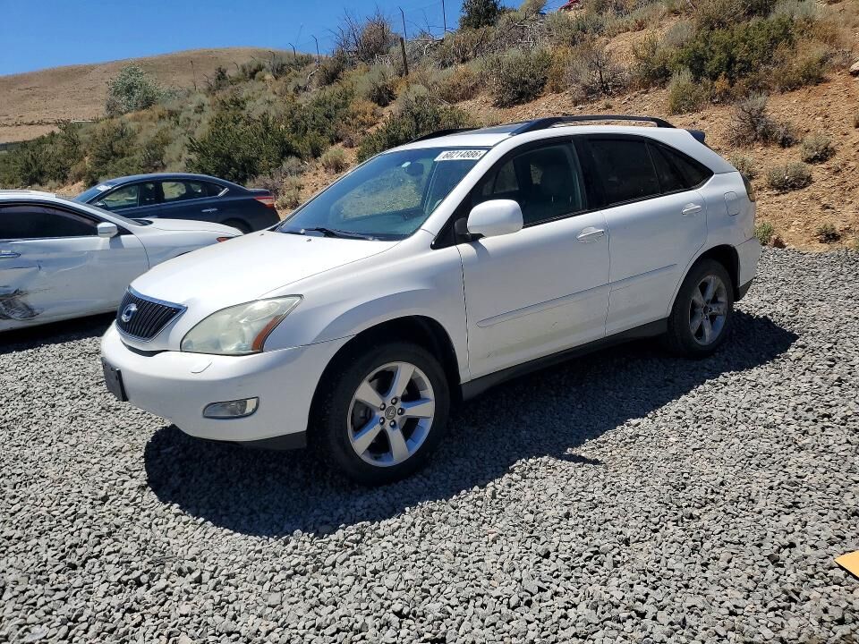 2007 LEXUS RX