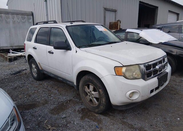 2010 FORD Escape