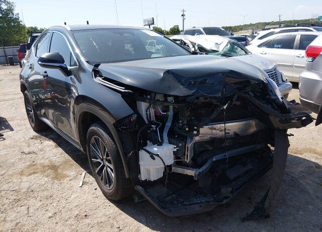 2025 LEXUS NX