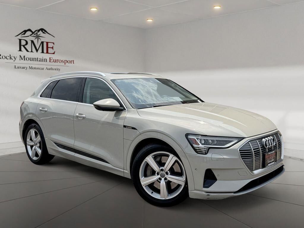 2019 AUDI e-tron