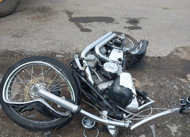 2005 HARLEY DAVIDSON Softail Standard