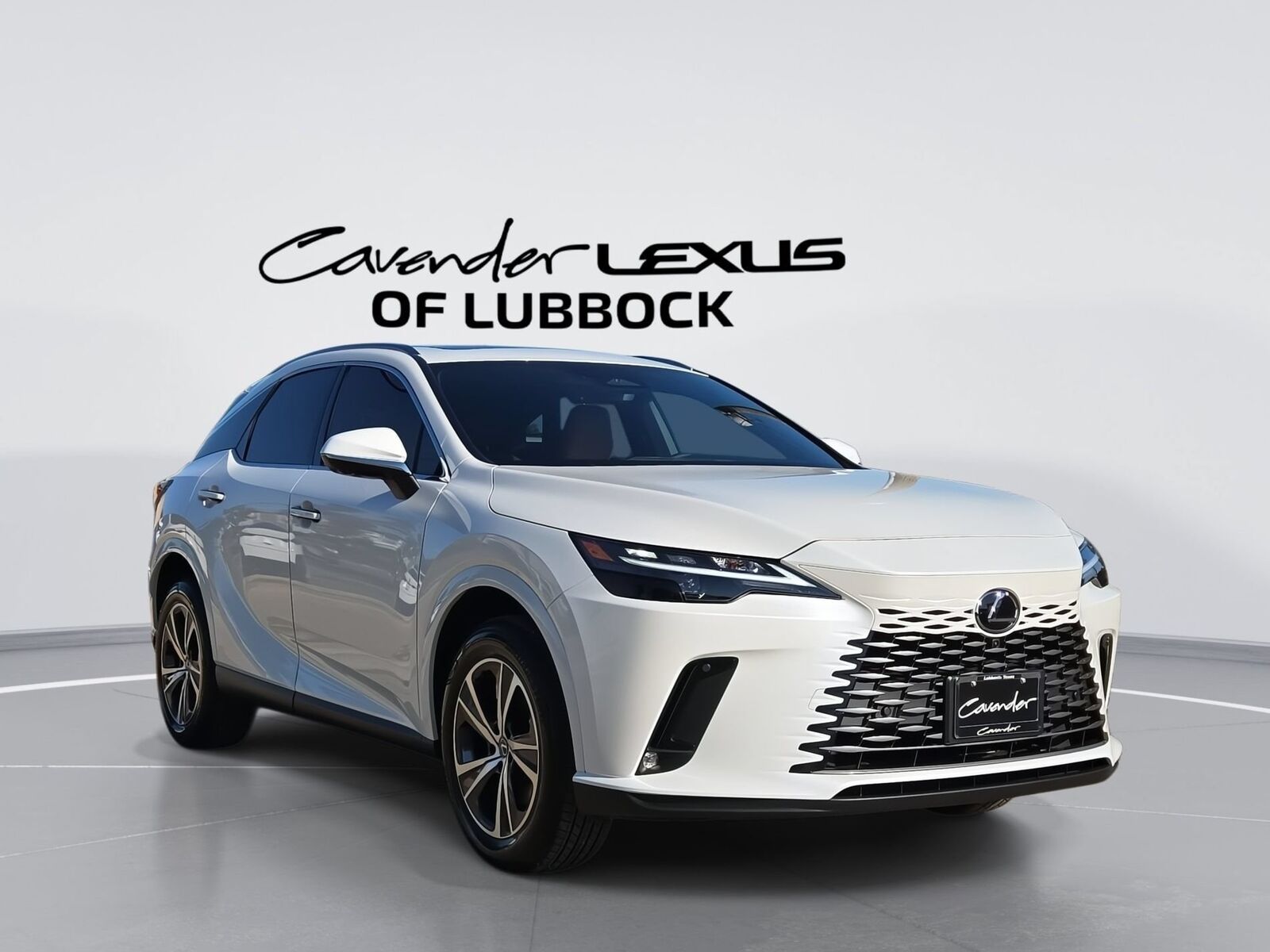 2025 LEXUS RX