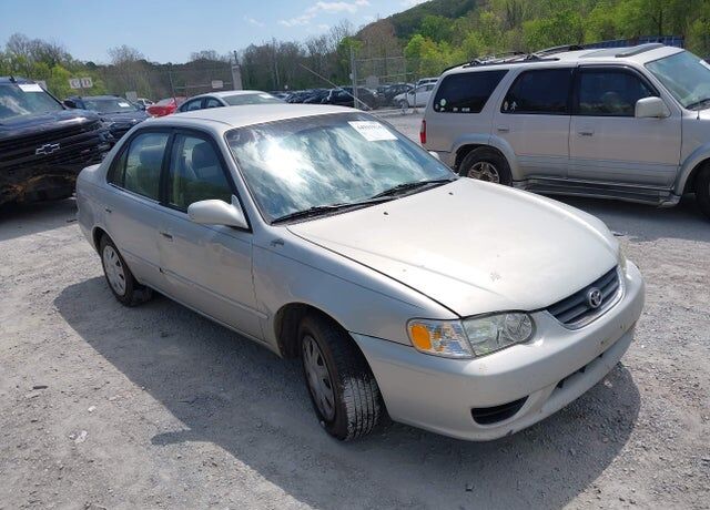 2002 TOYOTA Corolla