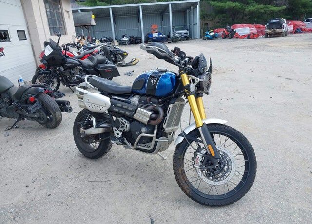 2022 TRIUMPH Scrambler
