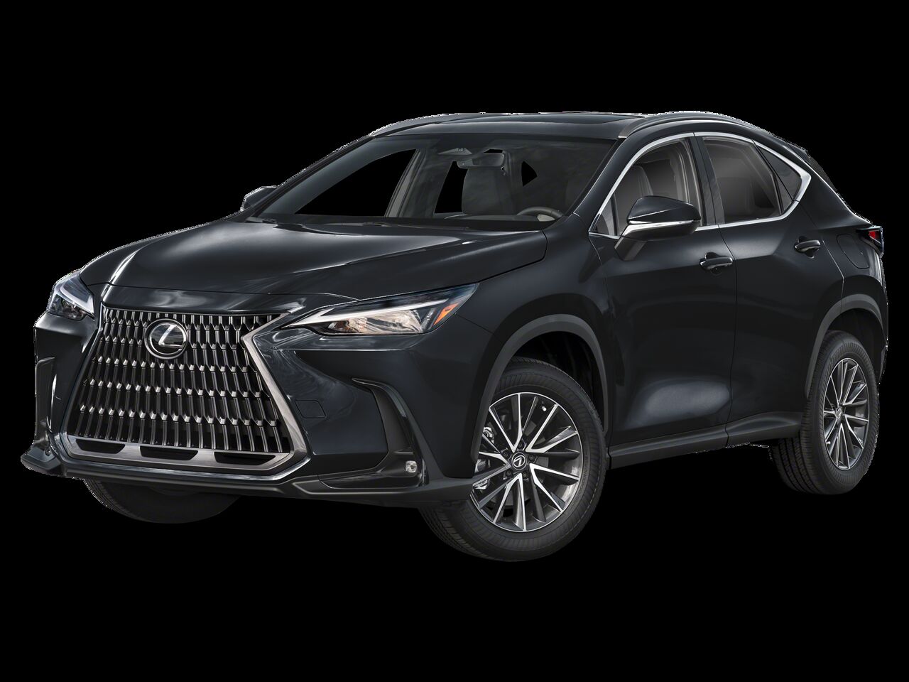 2024 LEXUS NX