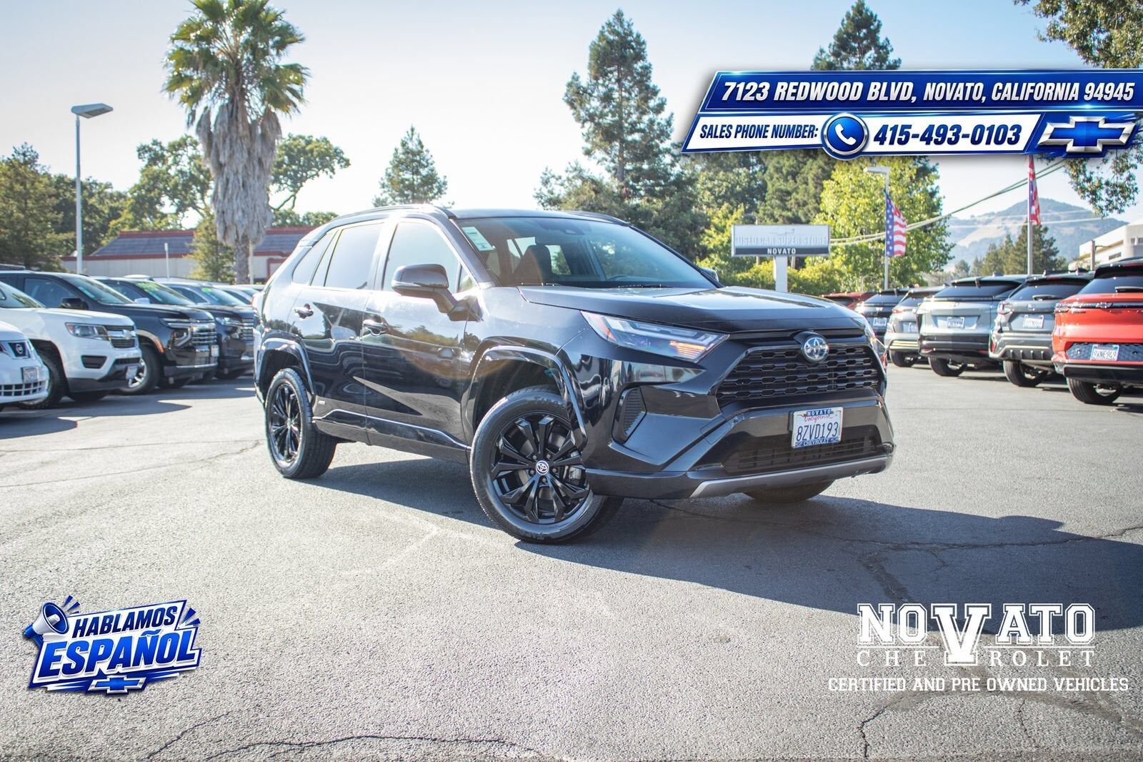 2022 TOYOTA RAV4