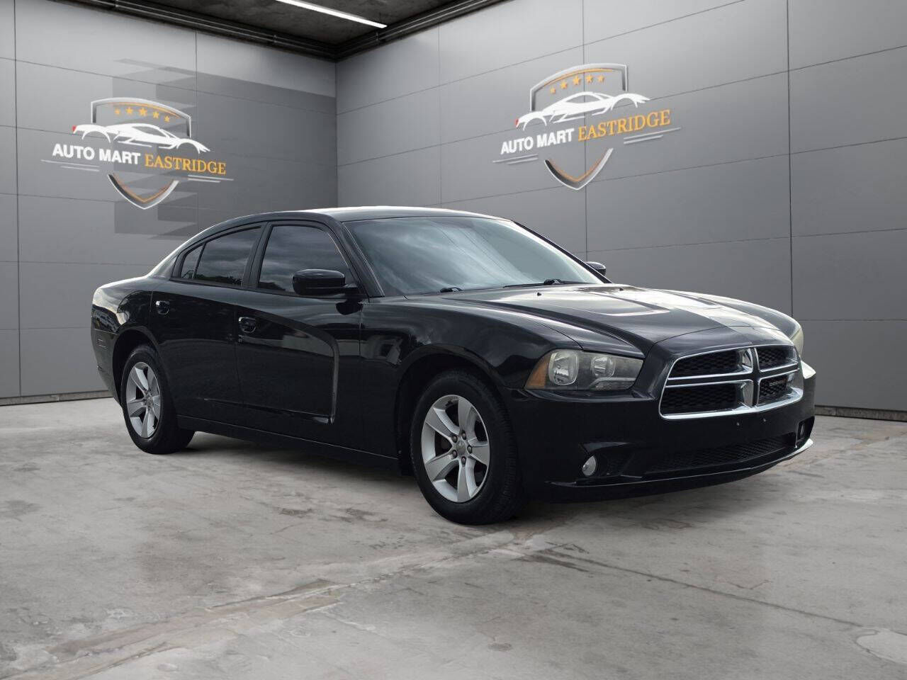 2014 DODGE Charger