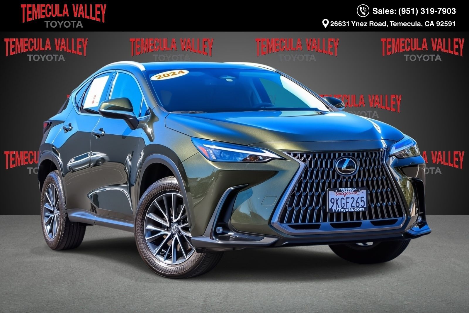 2024 LEXUS NX