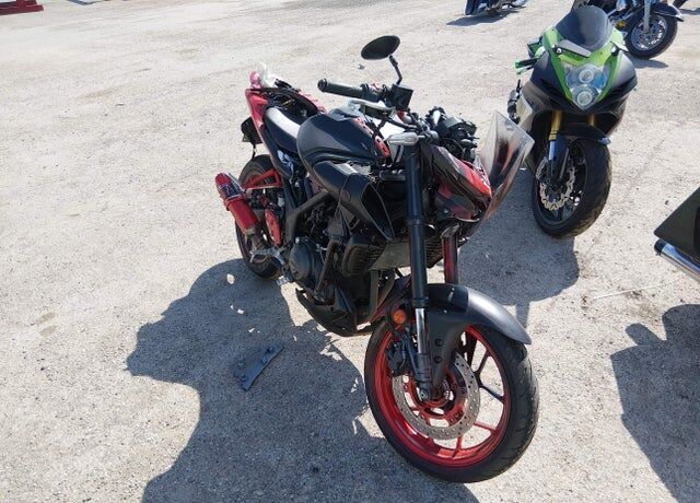 2025 YAMAHA MTN320