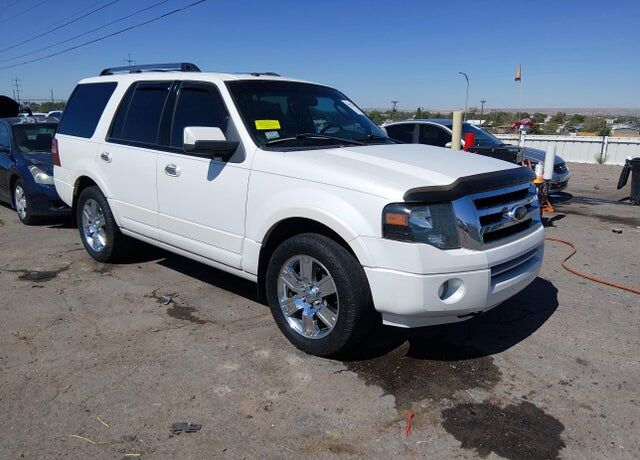2010 FORD Expedition