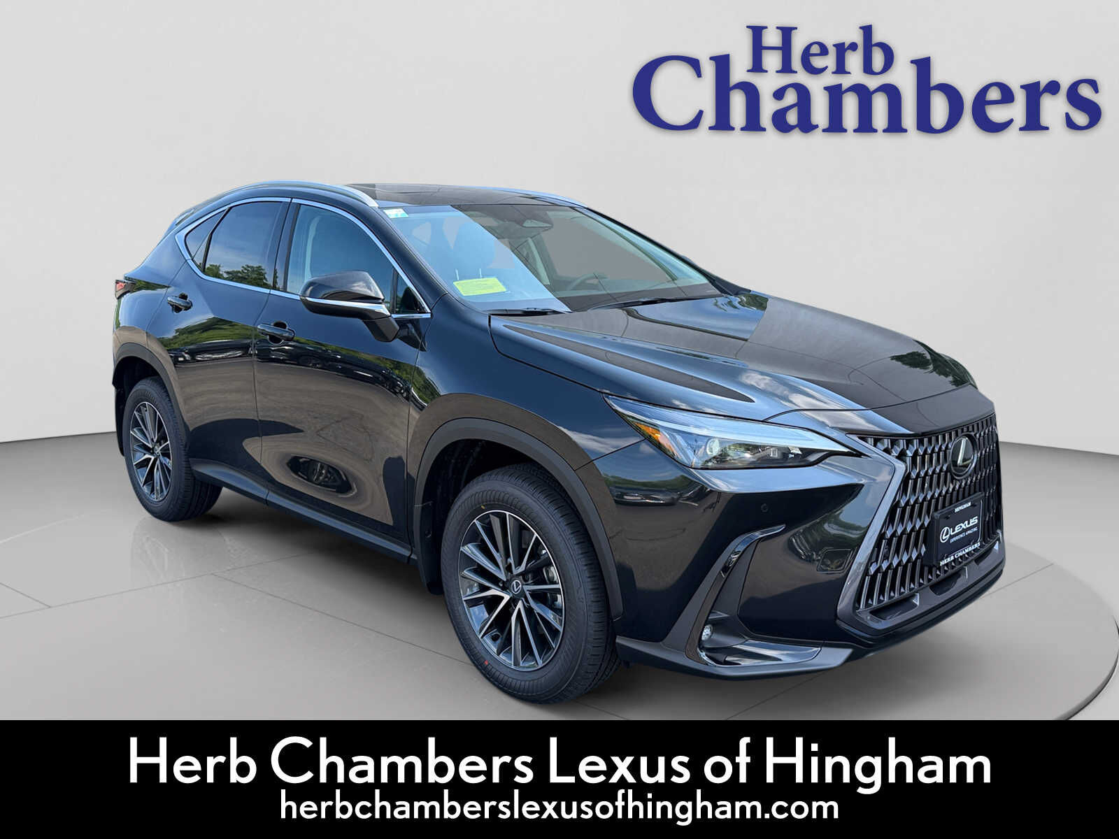 2026 LEXUS NX