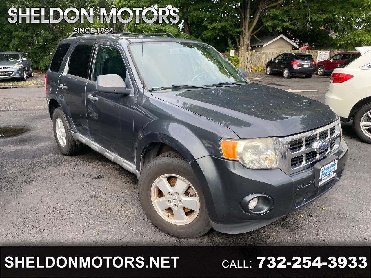2009 FORD Escape