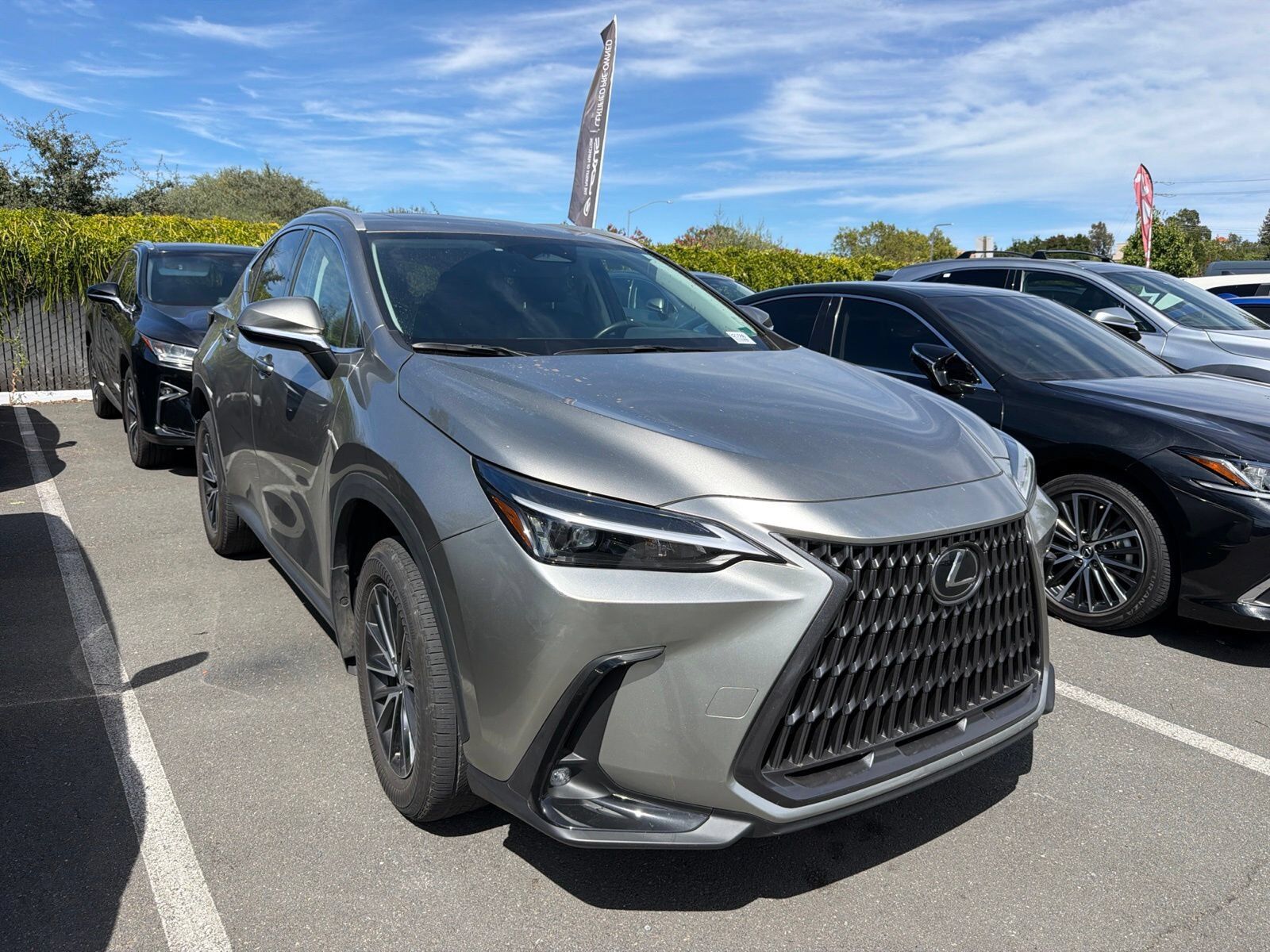 2022 LEXUS NX