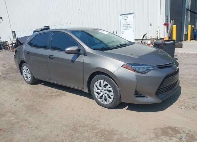 2019 TOYOTA Corolla