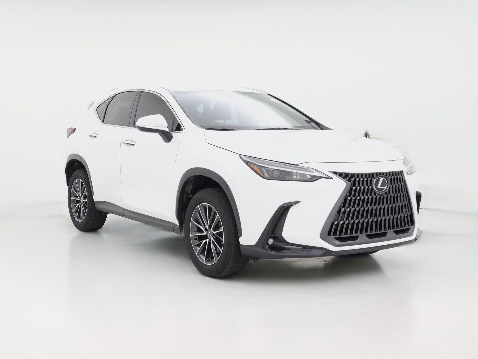 2025 LEXUS NX