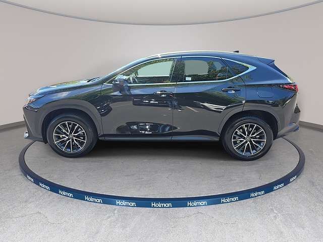 2024 LEXUS NX