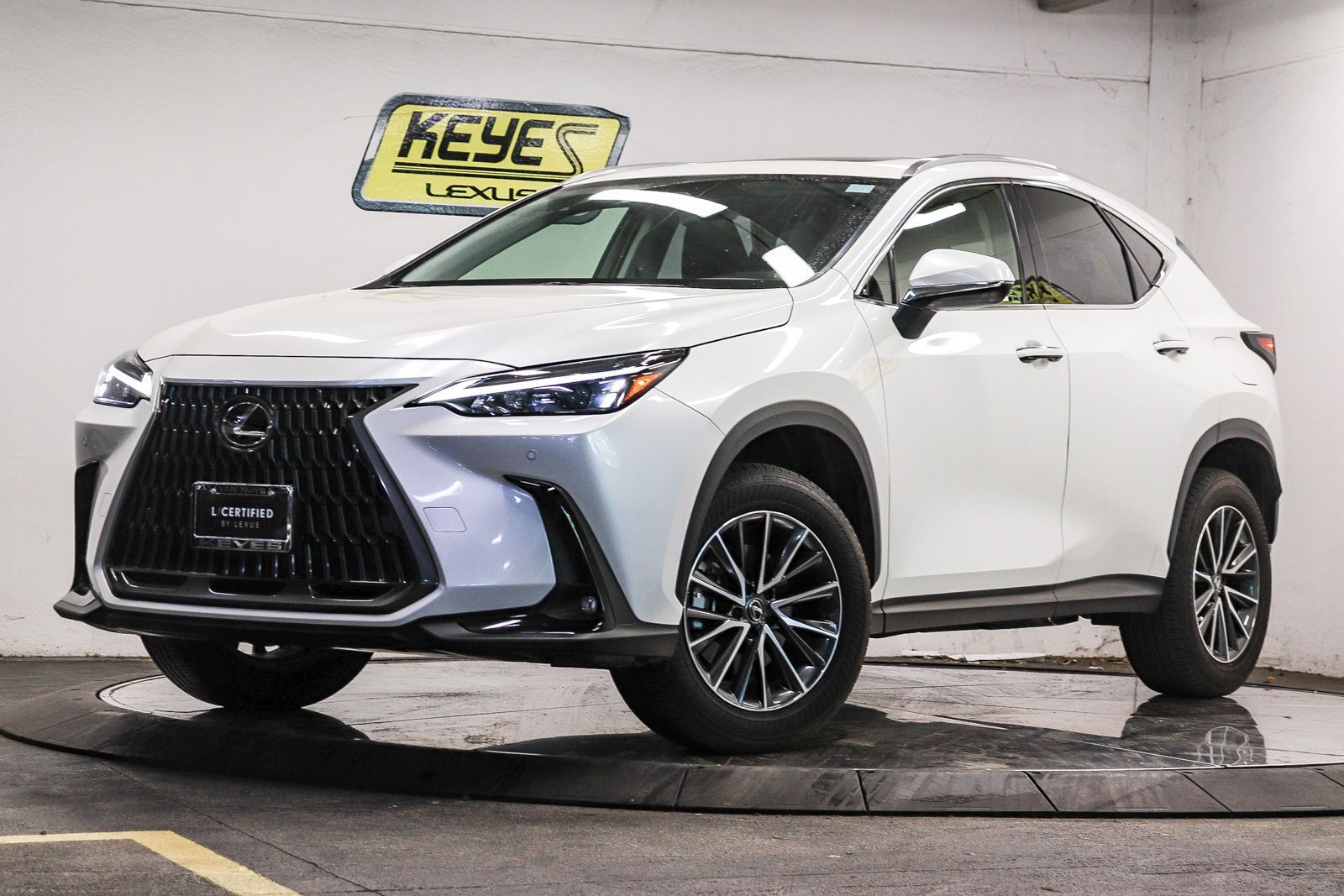 2025 LEXUS NX