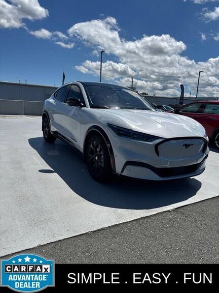 2022 FORD Mach-E