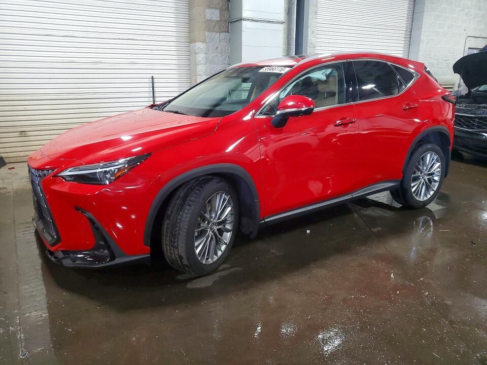 2024 LEXUS NX
