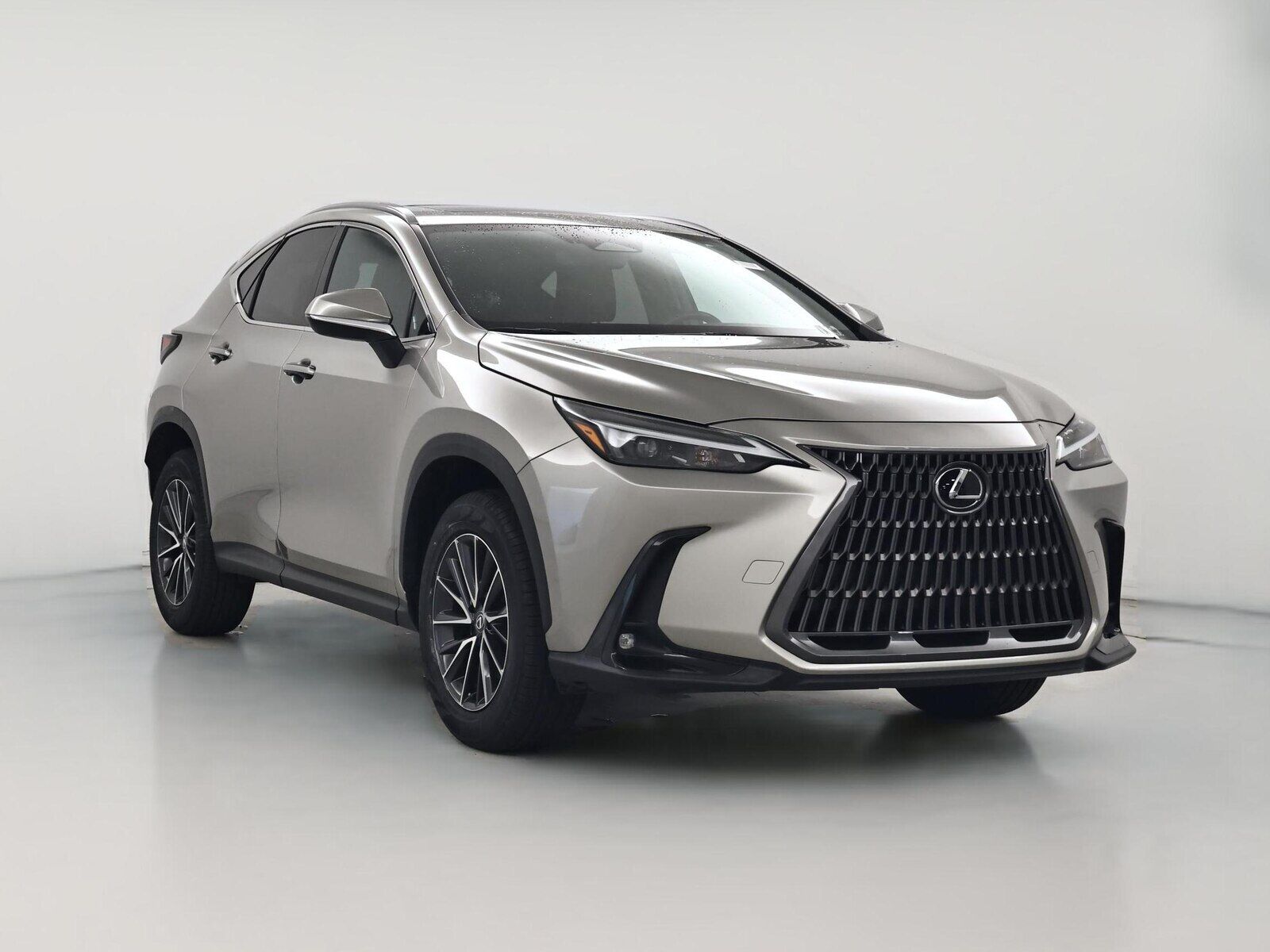 2024 LEXUS NX