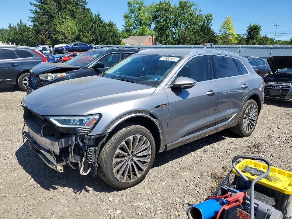 2019 AUDI e-tron