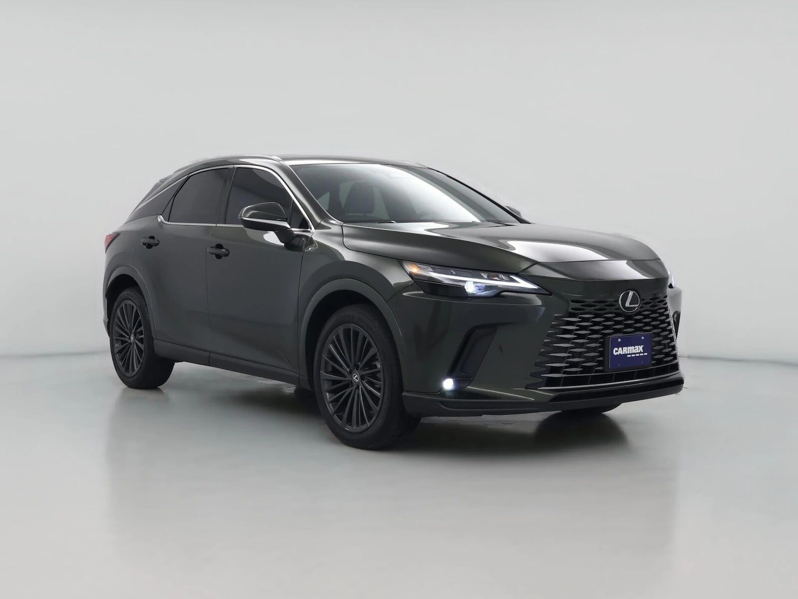 2025 LEXUS RX