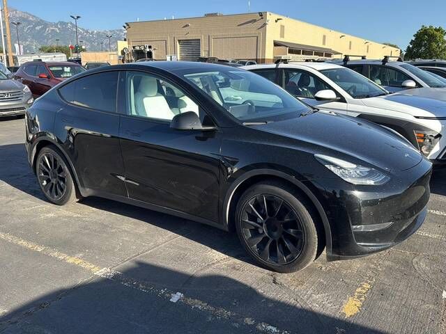 2020 TESLA Model Y