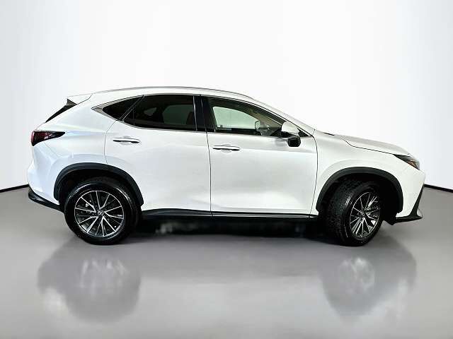 2024 LEXUS NX