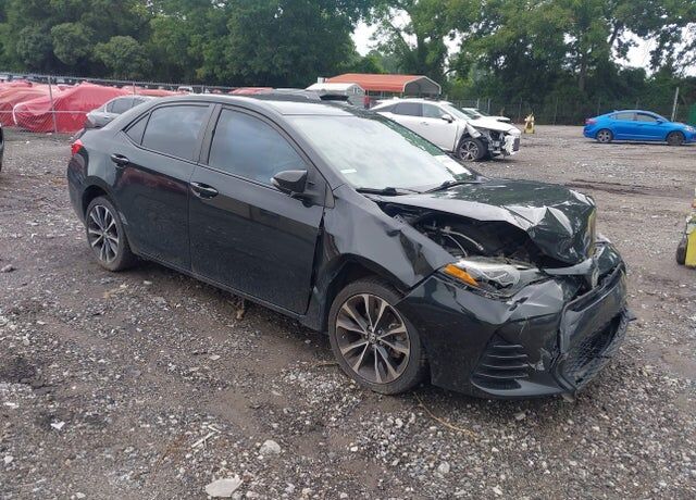 2019 TOYOTA Corolla