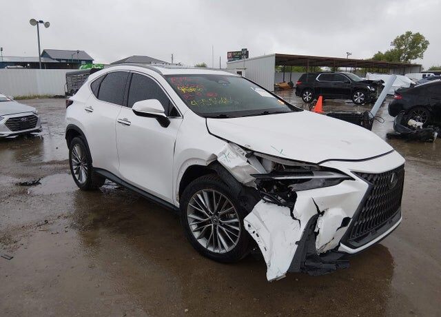 2023 LEXUS NX