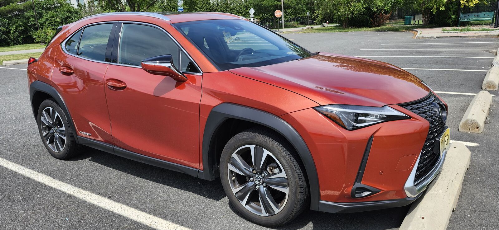 2019 LEXUS UX