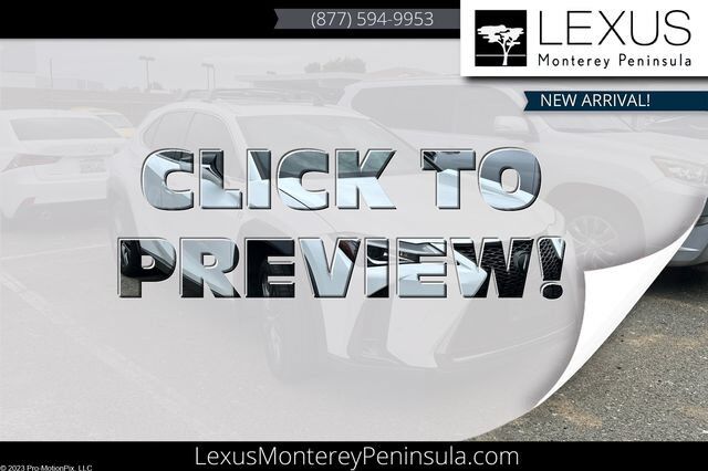 2020 LEXUS UX