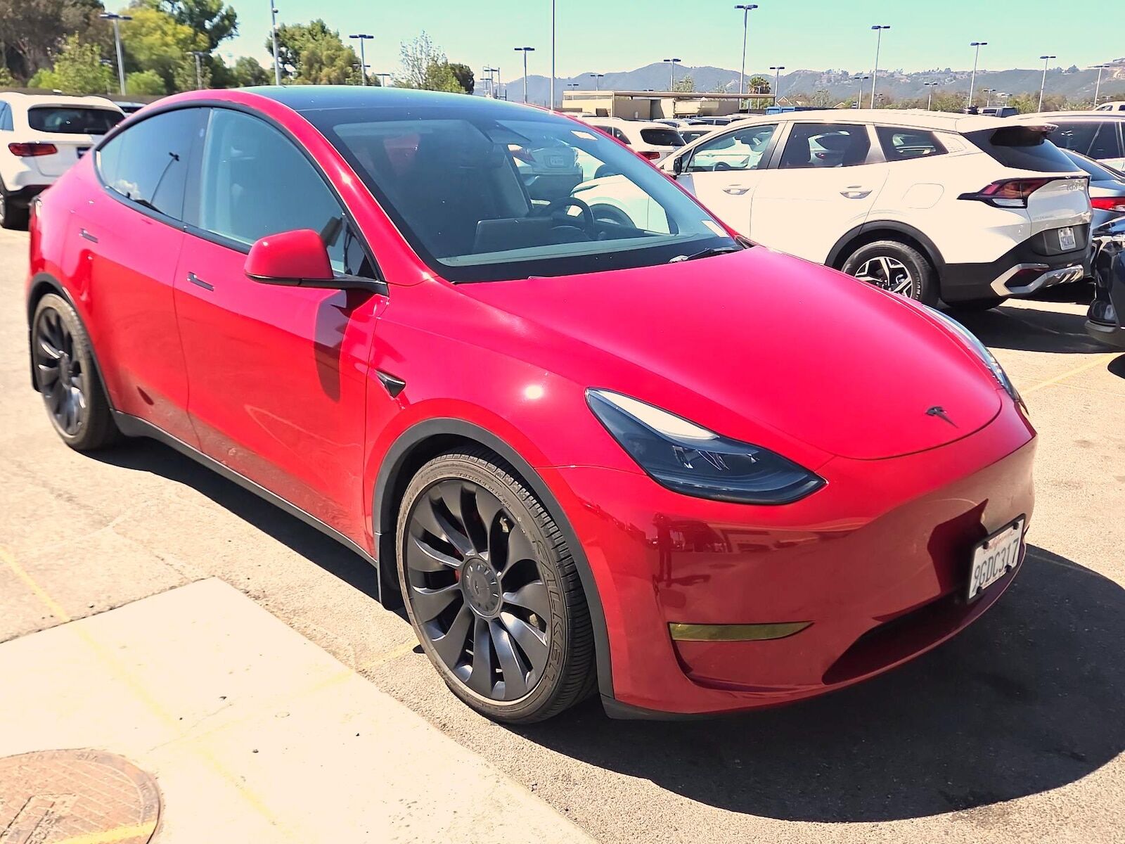 2023 TESLA Model Y