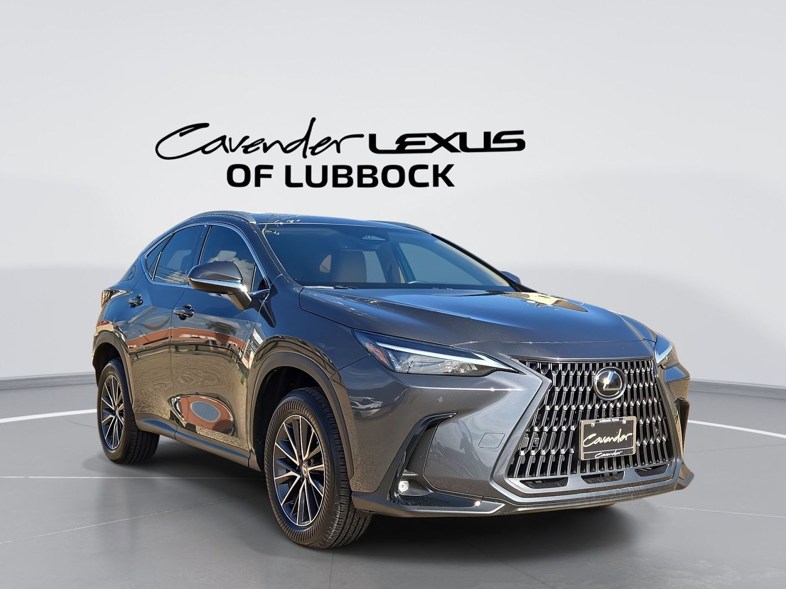 2025 LEXUS NX
