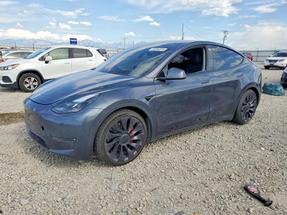 2021 TESLA Model Y