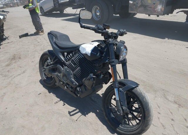 2025 LIVEWIRE S2 Alpinista