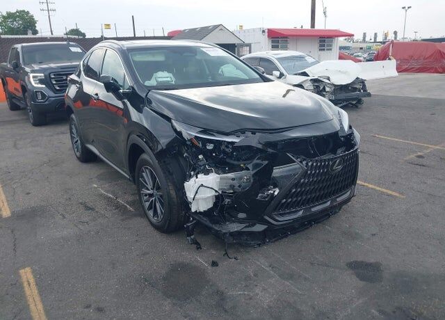 2026 LEXUS NX