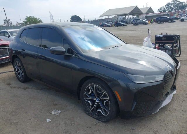 2024 BMW ix