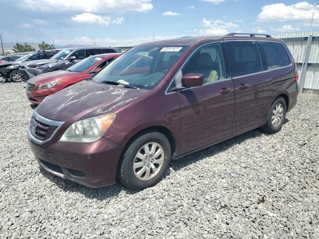 2010 HONDA Odyssey