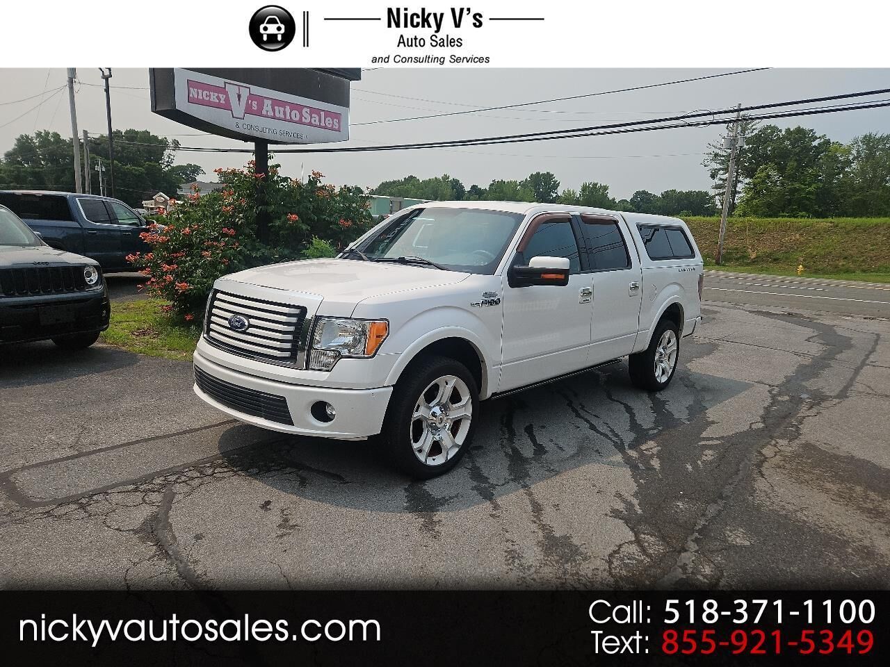 2011 FORD F-150