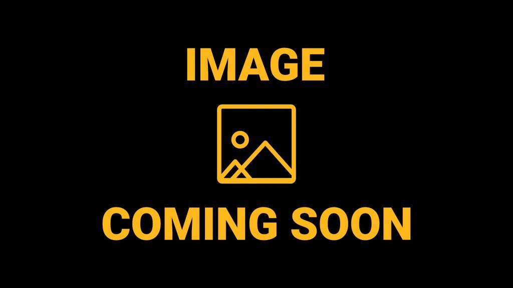 2010 DODGE Nitro
