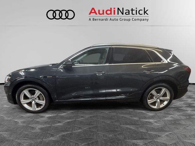 2019 AUDI e-tron