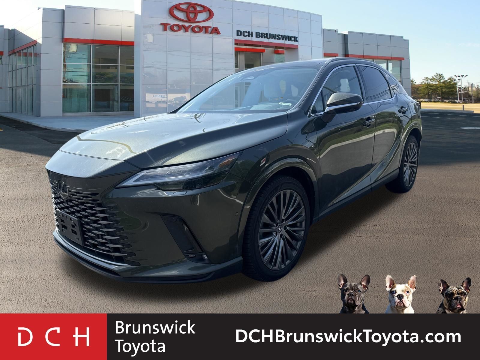 2024 LEXUS RX