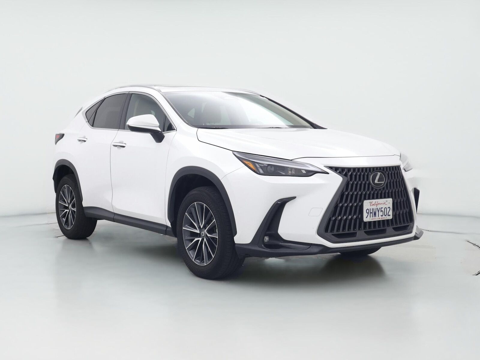 2024 LEXUS NX