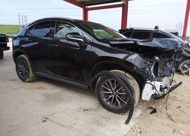 2025 LEXUS NX