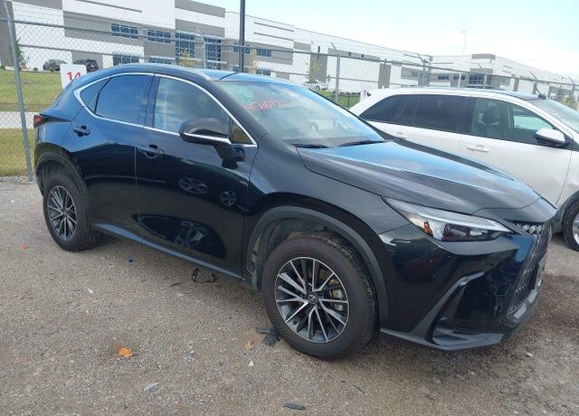 2024 LEXUS NX