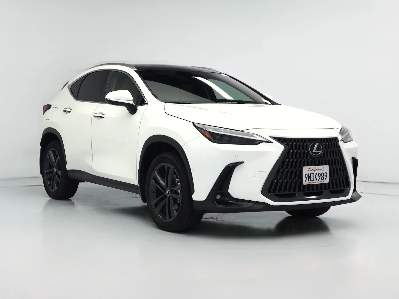 2025 LEXUS NX