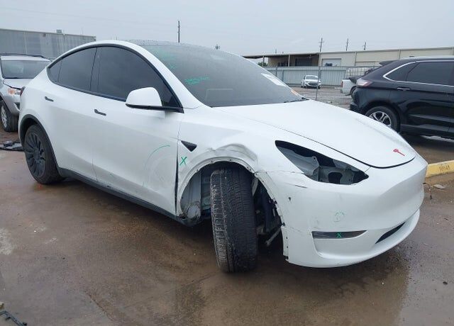 2020 TESLA Model Y