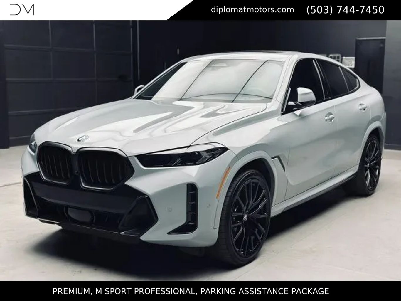 2025 BMW X6